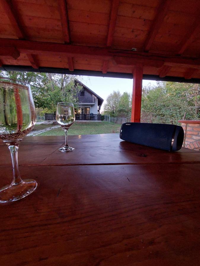 House Kupa Mb Villa Petrinja Екстериор снимка