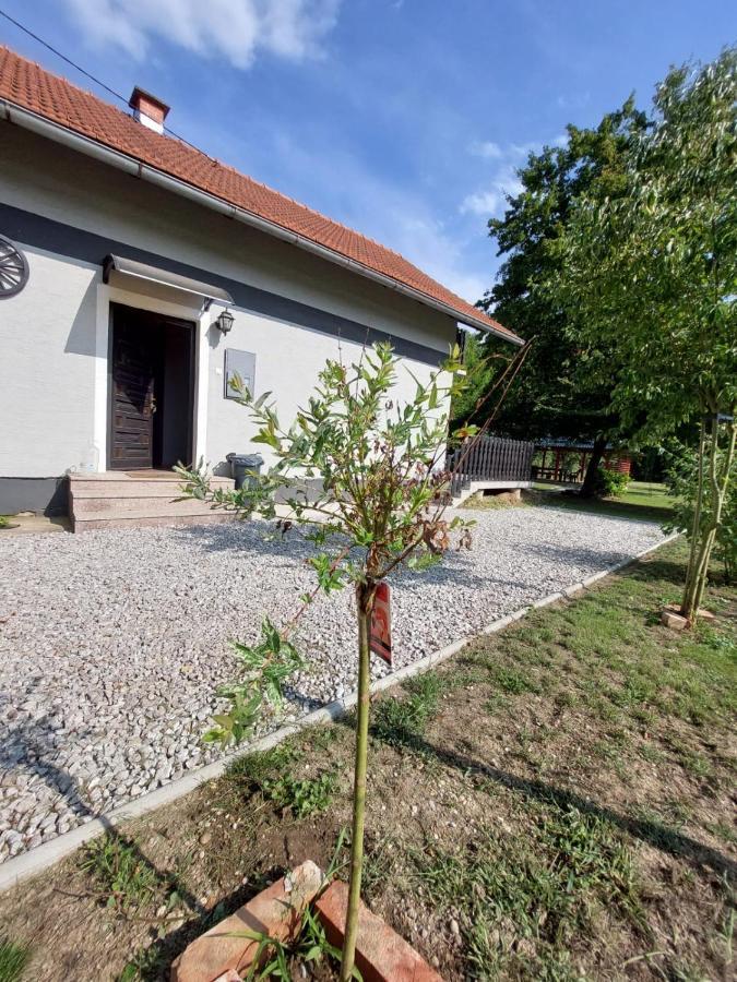 House Kupa Mb Villa Petrinja Екстериор снимка