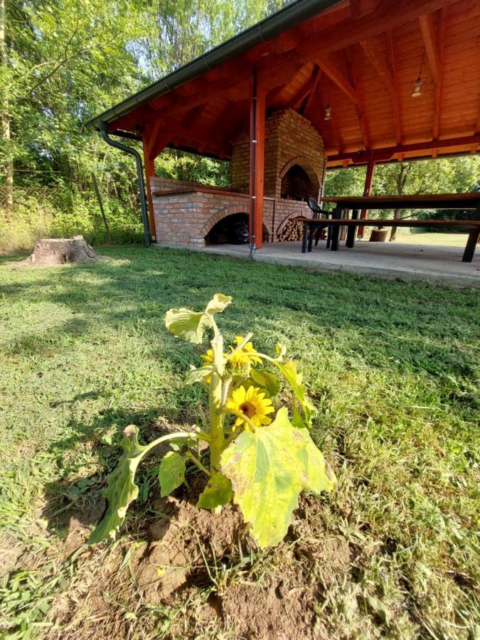 House Kupa Mb Villa Petrinja Екстериор снимка