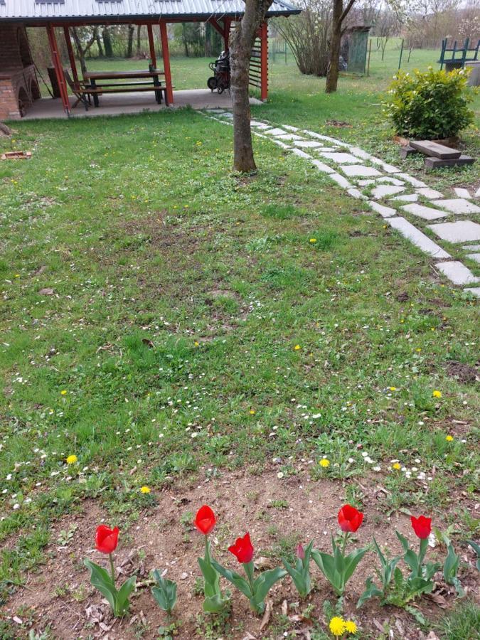 House Kupa Mb Villa Petrinja Екстериор снимка