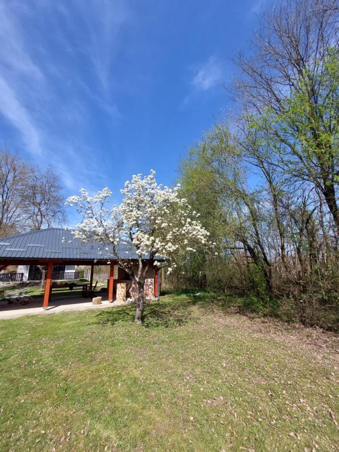 House Kupa Mb Villa Petrinja Екстериор снимка